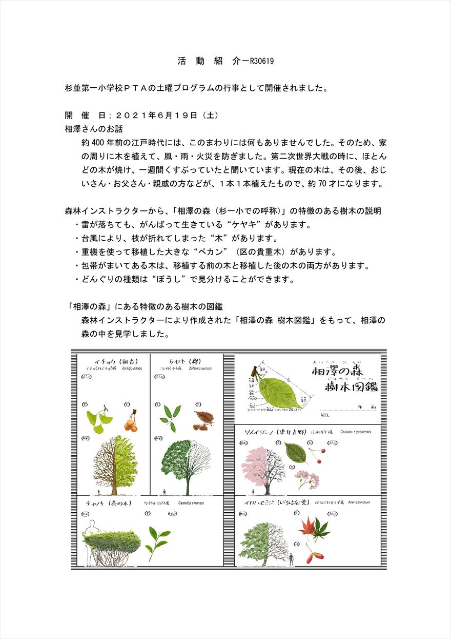相澤の森2