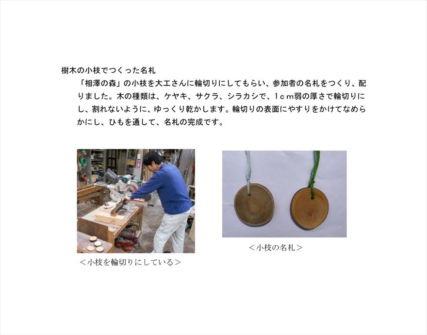 相澤の森2